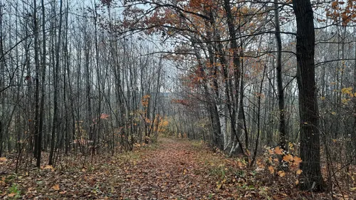 Hiking in Wisconsin's Kettle Moraine – Reading Eagle