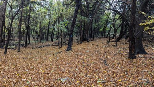 Elk River Hiking Trail : 842 Photos - Kansas, Randonnée