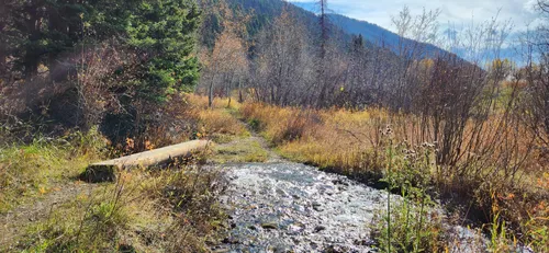 Dog friendly clearance hikes near yellowstone