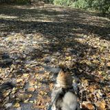 Turkey Creek Trail  Get Outdoors Kansas