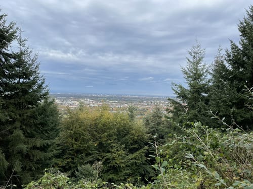 MTB: Kreuzelberg Runde 1