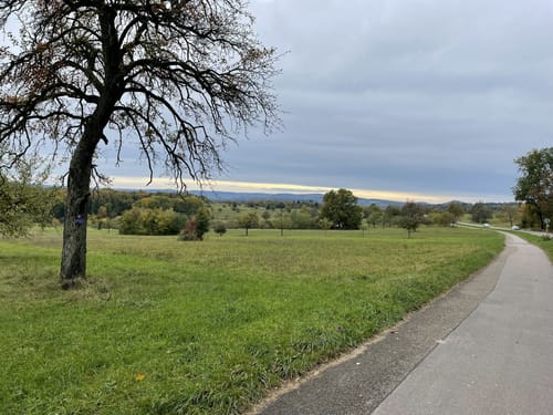 MTB: Kreuzelberg Runde 1