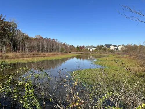 Formerly Moss Creek Reference: Best Hikes And Trails In Moss Creek Preserve