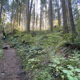 Spirea Nature Trail, British Columbia, Canada - 115 Reviews, Map ...