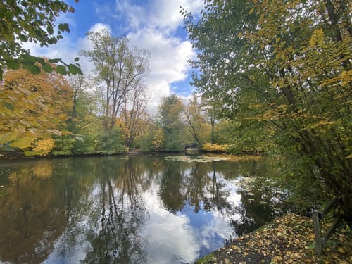 Um den Hohnsensee