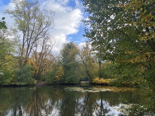 Um den Hohnsensee