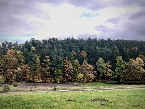 Wolfersdorf - Rattelsdorf - Bremsnitz