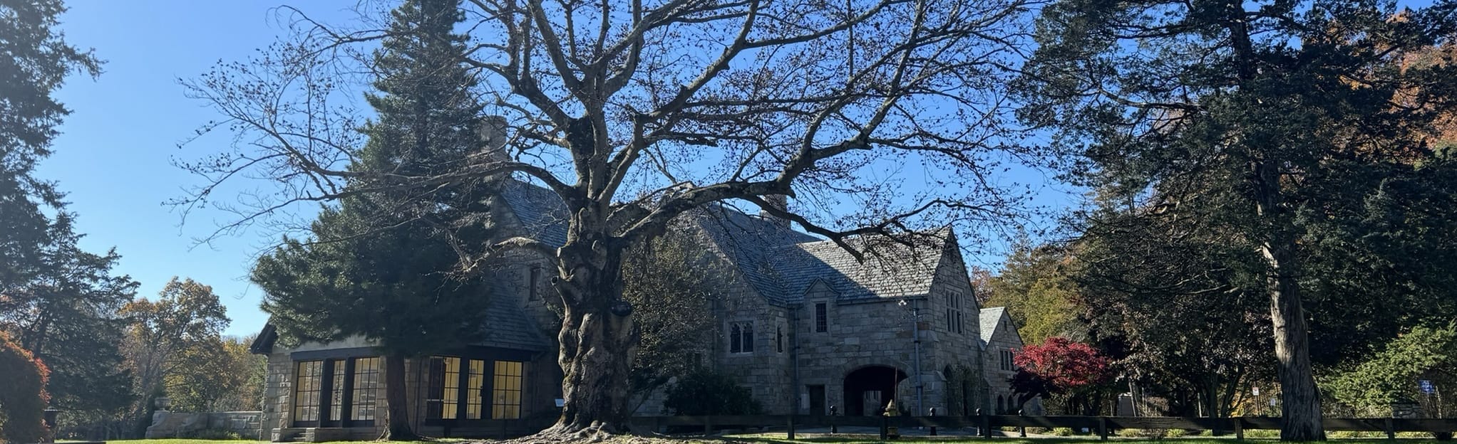 Cranbury Park Trail, Connecticut 380 Reviews, Map AllTrails