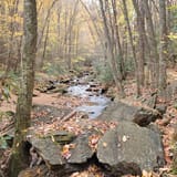 South Fork of Citico Creek Trail, Tennessee - 43 Reviews, Map | AllTrails