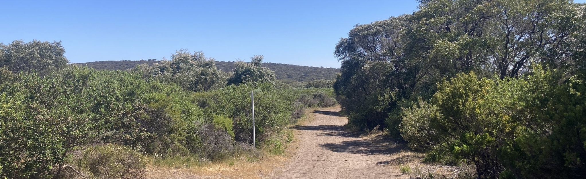 Cape to Cape Track, Western Australia, Australia - 352 Reviews, Map ...