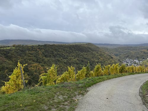 RheinBurgenWeg Etappe 12: Bacharach - Trechtingshausen