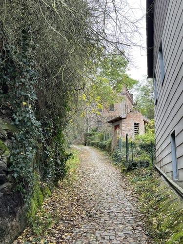 RheinBurgenWeg Etappe 12: Bacharach - Trechtingshausen
