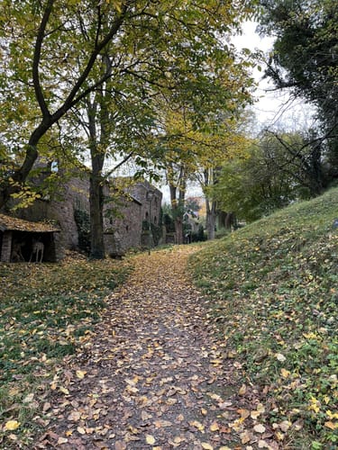 RheinBurgenWeg Etappe 12: Bacharach - Trechtingshausen
