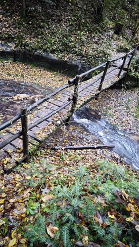 Dreischluchten (Premiumwanderweg)