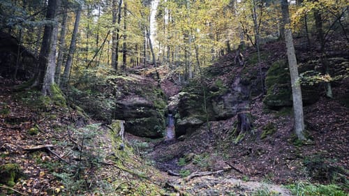 Dreischluchten (Premiumwanderweg)
