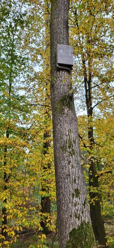 Rund um Köthensdorf