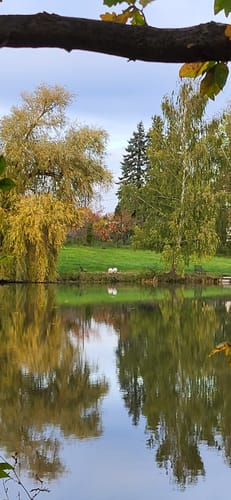 Rund um Köthensdorf