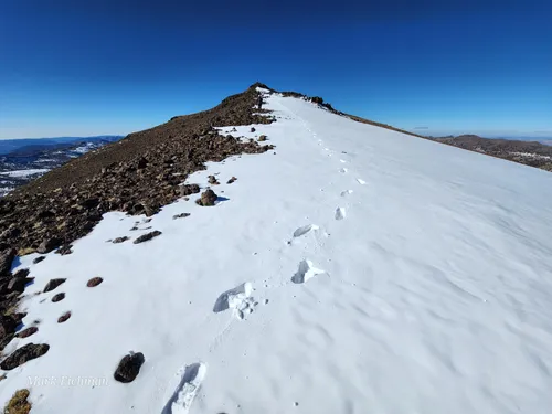 Snowshoe Trails of California: 90 Of the Best Routes in the