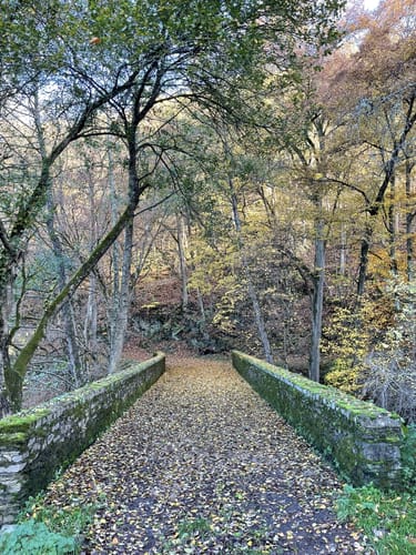 Schieferwanderweg 2 (Kehrig)