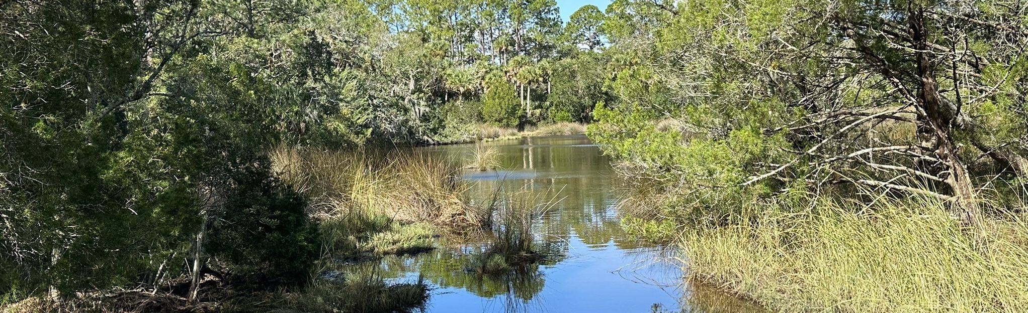 Nocatee Preserve Trail, Florida - 316 Reviews, Map 