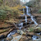 Pearson's Falls, North Carolina - 426 Reviews, Map | AllTrails