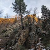 Lower Mill B North Fork Trail, Utah - 1,545 Reviews, Map | AllTrails