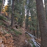 Lower Mill B North Fork Trail, Utah - 1,545 Reviews, Map | AllTrails