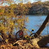 Blydenburgh County Park Stump Pond Loop, New York - 5,333 Reviews, Map ...