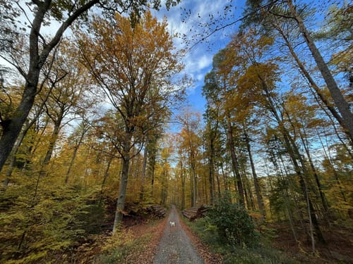 Durch das Schaichtal