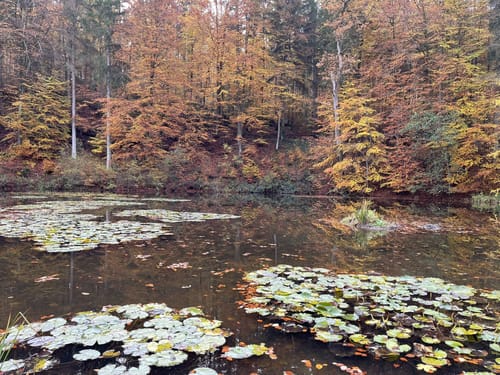 Durch das Schaichtal