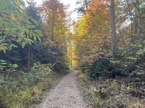 Laufstrecke: Never Walk Alone 3