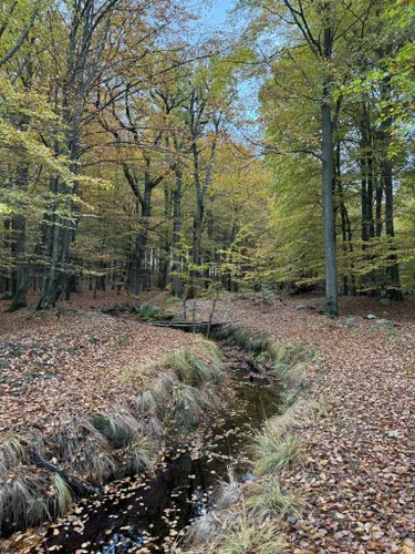 2023 Best River Trails in Eksholms Naturreservat | AllTrails