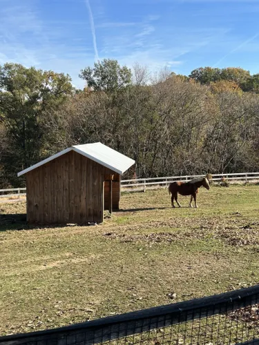 Best Hikes and Trails in Oxon Cove Park & Oxon Hill Farm | AllTrails