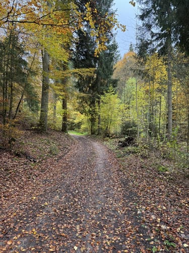 Sulzer Grenzsteinweg