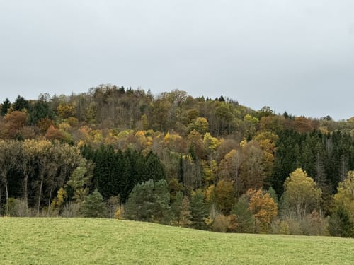 Sulzer Grenzsteinweg