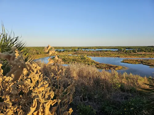 Best Hikes and Trails in Cockroach Bay Nature Preserve | AllTrails