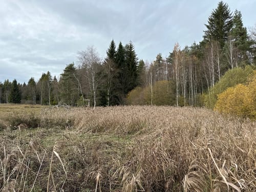 Von Marktoberdorf um den Eibsee