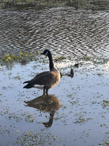 2023 Best Trail Running Trails - EyJidWNrZXQiOiJhc3NldHMuYWxsdHJhaWxzLmNvbSIsImtleSI6InVwbG9hZHMvcGhvdG8vaW1hZ2UvNjc2NTc2NDgvNWVhZmVhOTAwNjhmM2I3ZWVlOTJhMjQyYmE5MjJjOTAuanBnIiwiZWRpdHMiOnsidG9Gb3JtYXQiOiJ3ZWJwIiwicmVzaXplIjp7IndpZHRoIjo1MDAsImhlaWdodCI6NTAwLCJmaXQiOiJpbnNpZGUifSwicm90YXRlIjpudWxsLCJqcGVnIjp7InRyZWxsaXNRdWFudGlzYXRpb24iOnRydWUsIm92ZXJzaG9vdERlcmluZ2luZyI6dHJ1ZSwib3B0aW1pc2VTY2FucyI6dHJ1ZSwicXVhbnRpc2F0aW9uVGFibGUiOjN9fX0=