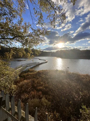 2023 Best Trail Running Trails - EyJidWNrZXQiOiJhc3NldHMuYWxsdHJhaWxzLmNvbSIsImtleSI6InVwbG9hZHMvcGhvdG8vaW1hZ2UvNjc2NTc2NDkvOGM0YmZhZjExMmY2YmE0MDA3N2YzYzBmYmE2NmUxN2IuanBnIiwiZWRpdHMiOnsidG9Gb3JtYXQiOiJ3ZWJwIiwicmVzaXplIjp7IndpZHRoIjo1MDAsImhlaWdodCI6NTAwLCJmaXQiOiJpbnNpZGUifSwicm90YXRlIjpudWxsLCJqcGVnIjp7InRyZWxsaXNRdWFudGlzYXRpb24iOnRydWUsIm92ZXJzaG9vdERlcmluZ2luZyI6dHJ1ZSwib3B0aW1pc2VTY2FucyI6dHJ1ZSwicXVhbnRpc2F0aW9uVGFibGUiOjN9fX0=