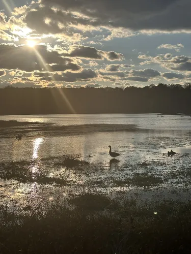 2023 Best Trail Running Trails - EyJidWNrZXQiOiJhc3NldHMuYWxsdHJhaWxzLmNvbSIsImtleSI6InVwbG9hZHMvcGhvdG8vaW1hZ2UvNjc2NTc2NTEvZTAxMzgwMDdlM2MzMmNiMTIyMzY2NGFlNGQ2NWI4ZjQuanBnIiwiZWRpdHMiOnsidG9Gb3JtYXQiOiJ3ZWJwIiwicmVzaXplIjp7IndpZHRoIjo1MDAsImhlaWdodCI6NTAwLCJmaXQiOiJpbnNpZGUifSwicm90YXRlIjpudWxsLCJqcGVnIjp7InRyZWxsaXNRdWFudGlzYXRpb24iOnRydWUsIm92ZXJzaG9vdERlcmluZ2luZyI6dHJ1ZSwib3B0aW1pc2VTY2FucyI6dHJ1ZSwicXVhbnRpc2F0aW9uVGFibGUiOjN9fX0=