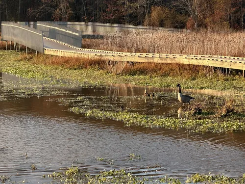 2023 Best Trail Running Trails - EyJidWNrZXQiOiJhc3NldHMuYWxsdHJhaWxzLmNvbSIsImtleSI6InVwbG9hZHMvcGhvdG8vaW1hZ2UvNjc2NTc2NTIvNDc0NGZhNGY3OGFiOTYzODI2NWYyNDA1ZTU5YTc5MzEuanBnIiwiZWRpdHMiOnsidG9Gb3JtYXQiOiJ3ZWJwIiwicmVzaXplIjp7IndpZHRoIjo1MDAsImhlaWdodCI6NTAwLCJmaXQiOiJpbnNpZGUifSwicm90YXRlIjpudWxsLCJqcGVnIjp7InRyZWxsaXNRdWFudGlzYXRpb24iOnRydWUsIm92ZXJzaG9vdERlcmluZ2luZyI6dHJ1ZSwib3B0aW1pc2VTY2FucyI6dHJ1ZSwicXVhbnRpc2F0aW9uVGFibGUiOjN9fX0=