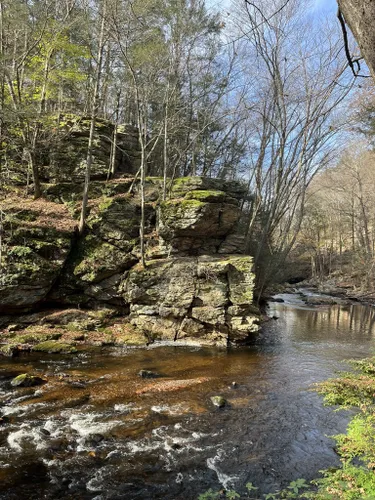 Best Hikes and Trails in Cotton Hollow Preserve | AllTrails