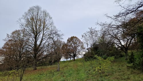 Adolf-Hackner-Weg Greding