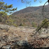 Butter Gap to Cat Gap Trail, North Carolina - 508 Reviews, Map | AllTrails
