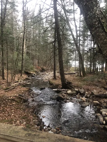 Best Hikes And Trails In Lowell Lake State Park 