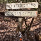 Butter Gap to Cat Gap Trail, North Carolina - 508 Reviews, Map | AllTrails
