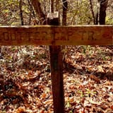 Butter Gap to Cat Gap Trail, North Carolina - 508 Reviews, Map | AllTrails
