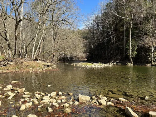 Pinnacle Natural Area Preserve, We enjoy the 1 mile walk al…