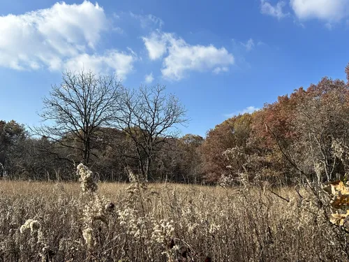 Best Hikes and Trails in Hickory Creek Preserve | AllTrails
