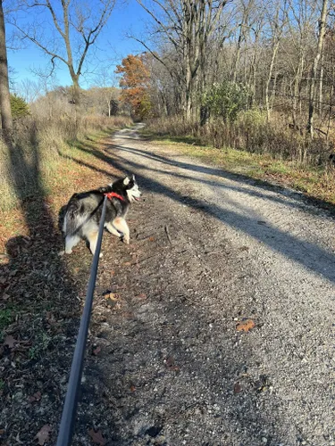 Best Hikes and Trails in Brushy Creek State Recreation Area | AllTrails